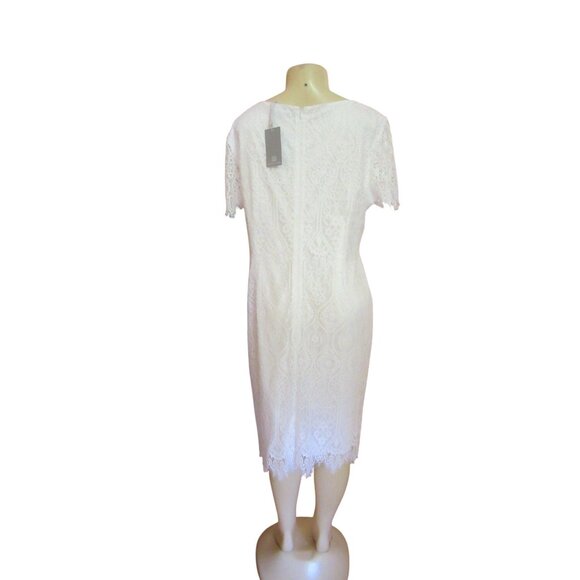 Preston & York White Lace Shift Dress Size 16 New W/ Tags Elegant Design - Picture 5 of 8
